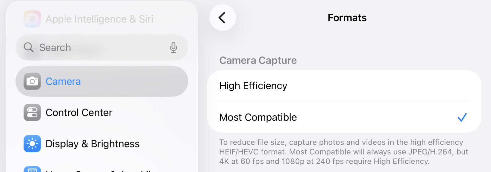 Camera format settings: Compatibility