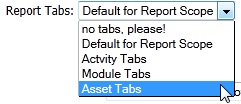 Asset Specific Tabs