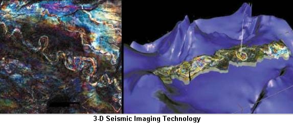 Seismic Imaging