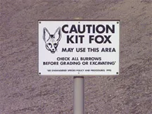 endangered species